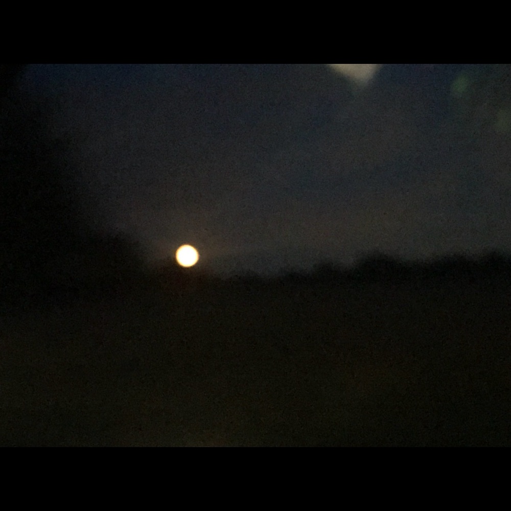 Meet your Posher, Rn